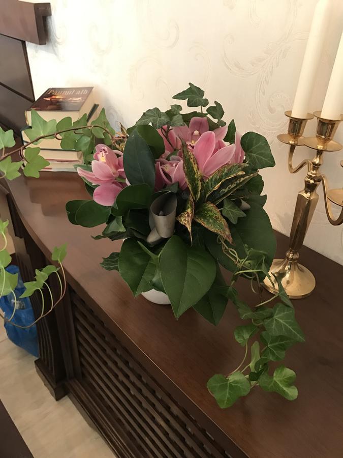 Hotel Boutique Belvedere Sinaia Kültér fotó